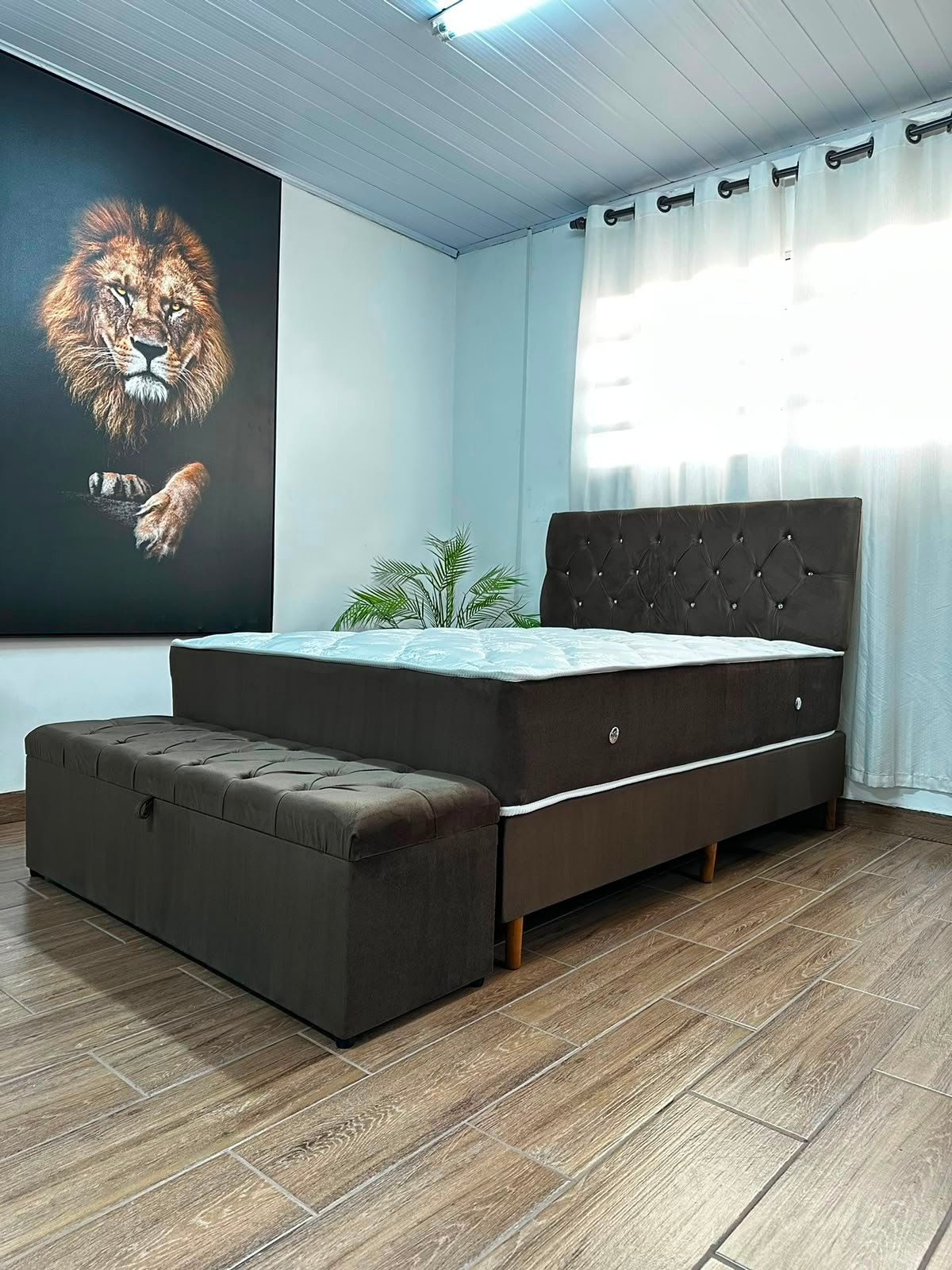 casal sem pillow top - marrom parede leao com recamier