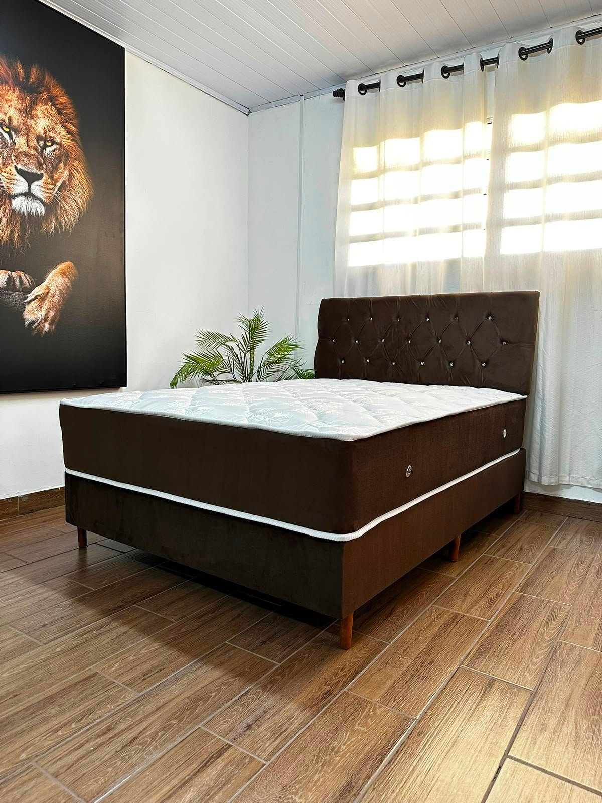 casal sem pillow top - marrom parede leao sem recamier